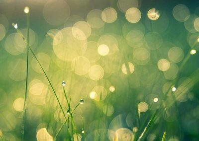 How Sustainability Can Boost Your Business